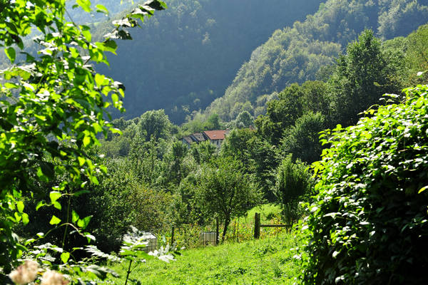 passeggiata contrade di Recoaro Peserico monte Spitz