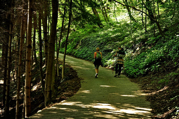 passeggiata contrade di Recoaro Peserico monte Spitz
