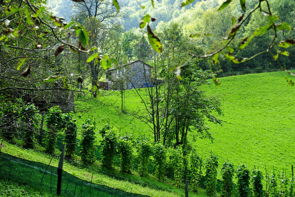 passeggiata contrade di Recoaro Peserico monte Spitz