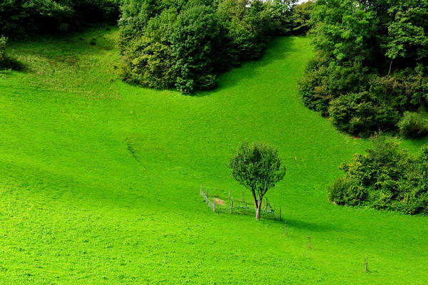 passeggiata contrade di Recoaro Peserico monte Spitz