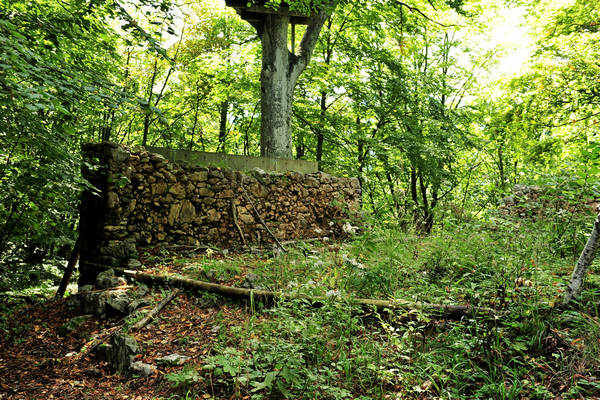 passeggiata contrade di Recoaro Peserico monte Spitz