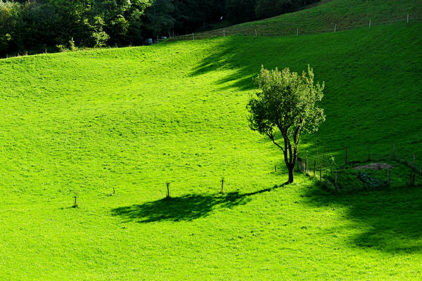 passeggiata contrade di Recoaro Peserico monte Spitz