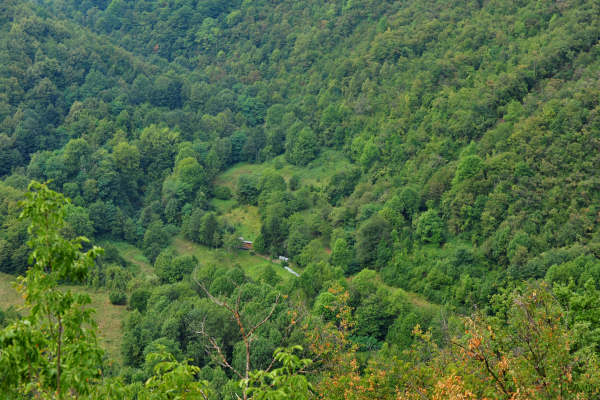 Santuario di Santa Maria in Panisacco, Maglio di Sopra, Valdagno