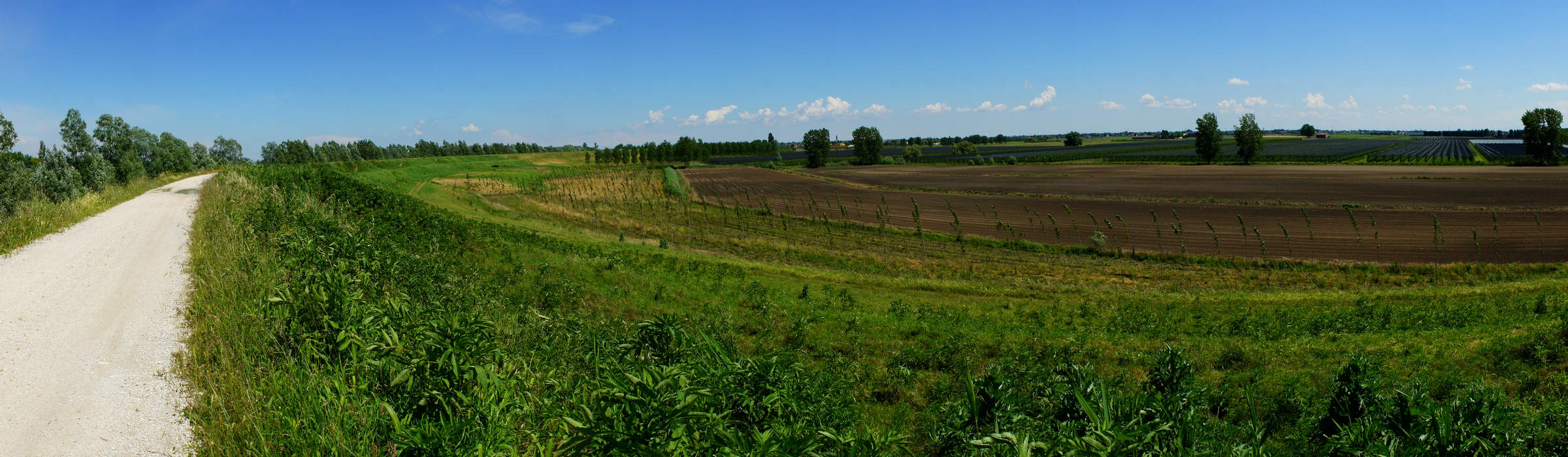 campagna dai pressi di Boara Polesine lungo il fiume Adige