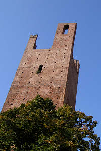 Rovigo