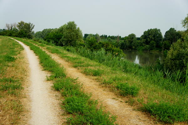 itinerario cicloturistico Adige Canalbianco Po, Boara Pisani, Lusia, Lendinara, Fratta Polesine, Arquà Polesine, Rovigo