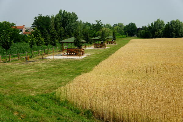 itinerario cicloturistico Adige Canalbianco Po, Boara Pisani, Lusia, Lendinara, Fratta Polesine, Arquà Polesine, Rovigo