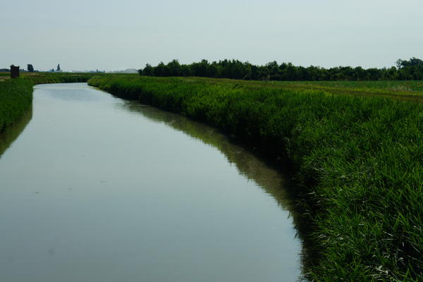 itinerario cicloturistico Adige Canalbianco Po, Boara Pisani, Lusia, Lendinara, Fratta Polesine, Arquà Polesine, Rovigo