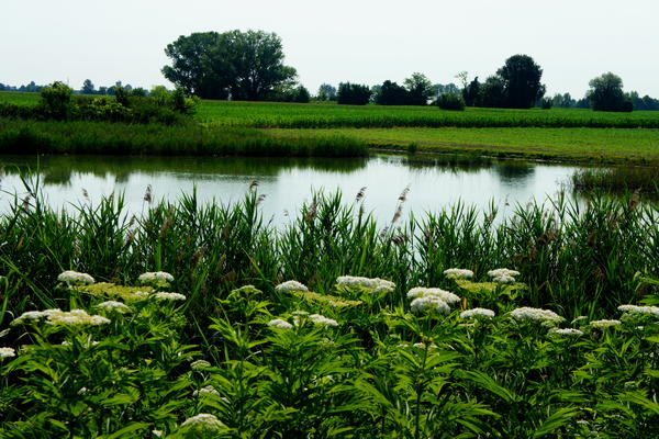 itinerario cicloturistico Adige Canalbianco Po, Boara Pisani, Lusia, Lendinara, Fratta Polesine, Arquà Polesine, Rovigo