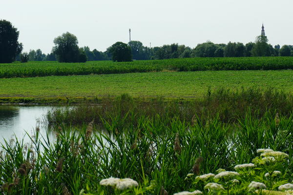 itinerario cicloturistico Adige Canalbianco Po, Boara Pisani, Lusia, Lendinara, Fratta Polesine, Arquà Polesine, Rovigo