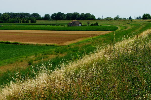 itinerario cicloturistico Adige Canalbianco Po, Boara Pisani, Lusia, Lendinara, Fratta Polesine, Arquà Polesine, Rovigo