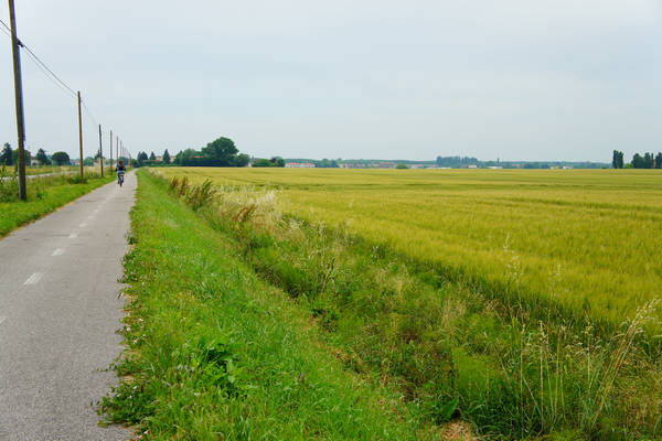 cicloturismo campagna Polesana e fiume Po