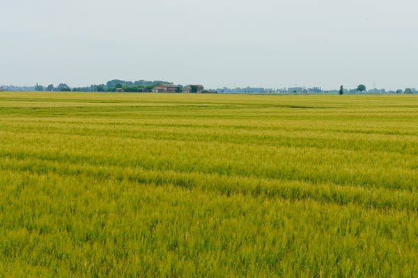 cicloturismo campagna Polesana e fiume Po