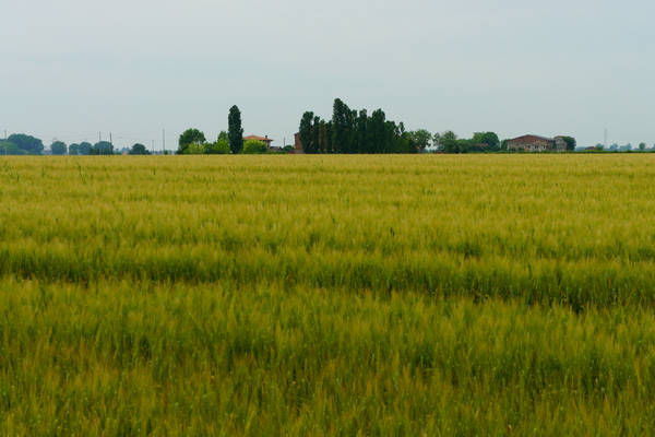 cicloturismo campagna Polesana e fiume Po