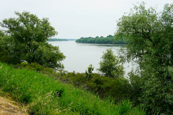 cicloturismo campagna Polesana e fiume Po