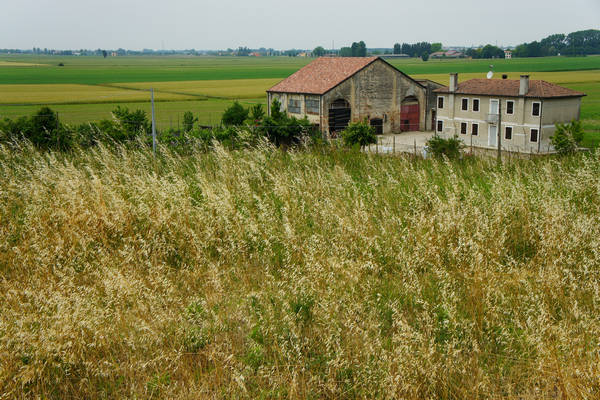 cicloturismo campagna Polesana e fiume Po
