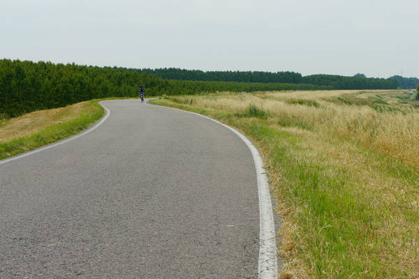cicloturismo campagna Polesana e fiume Po