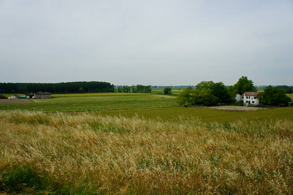 cicloturismo campagna Polesana e fiume Po