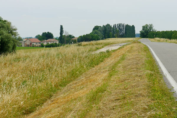cicloturismo campagna Polesana e fiume Po