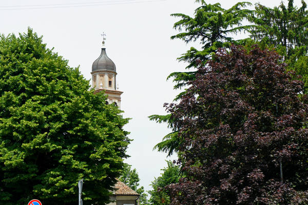 cicloturismo campagna Polesana e fiume Po