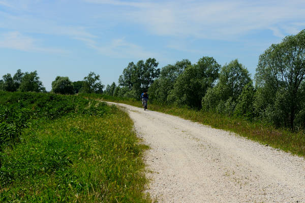 Rovigo cicloturismo
