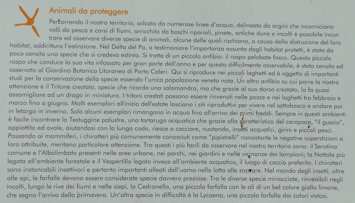 mountain bike, cicloturismo da Adria a Porto Viro lungo il Canal Bianco e il fiume Po