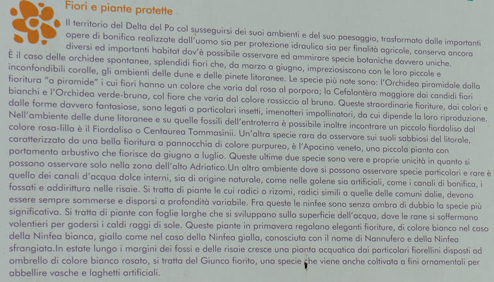 mountain bike, cicloturismo da Adria a Porto Viro lungo il Canal Bianco e il fiume Po