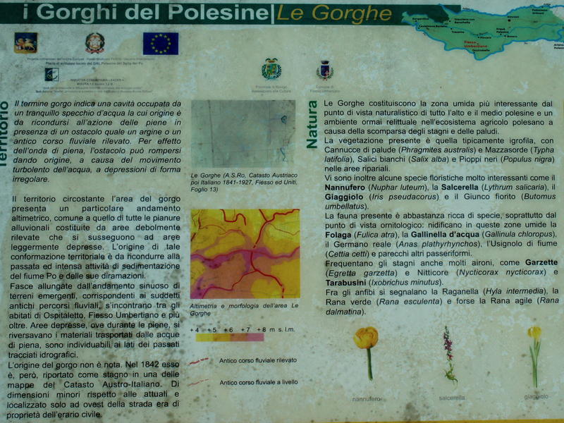 Gorghi del Polesine