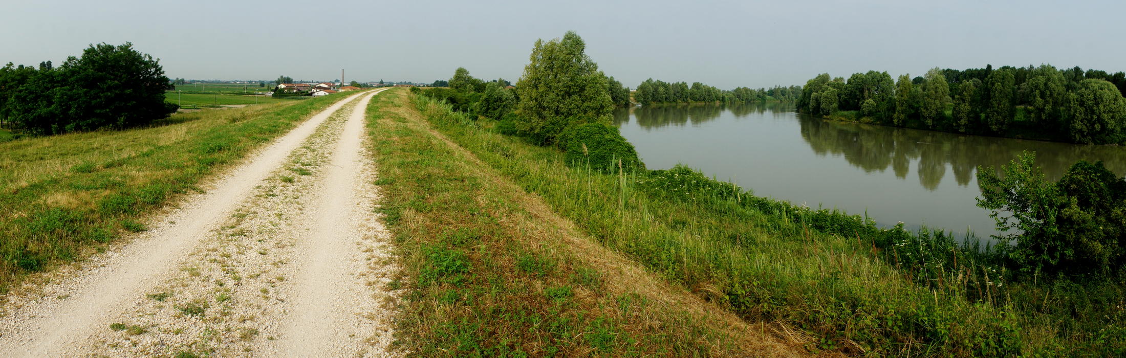 argine polesano del fiume Adige nei pressi di Lusia, Rovigo