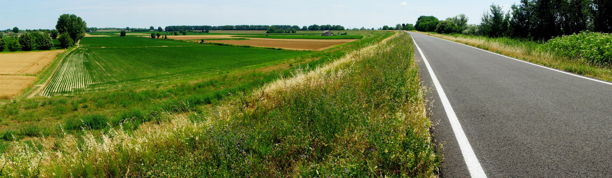argine fiume Po a Canaro, Rovigo