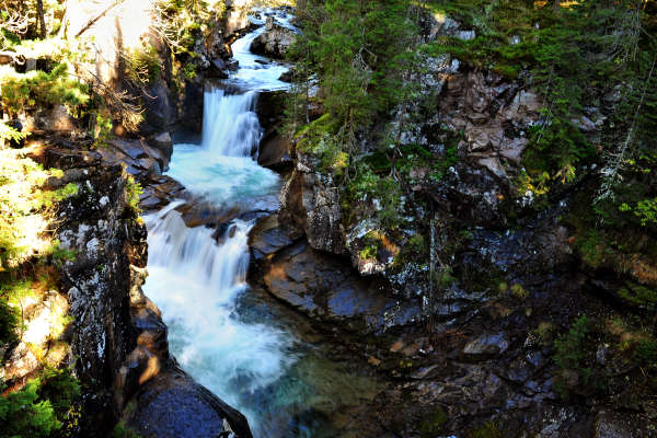 Paneveggio Pale di San Martino