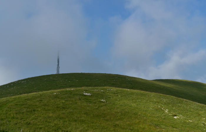 escursione naturalistica Malga Mariech Barbaria Orsere Forcelletta monte Cesen