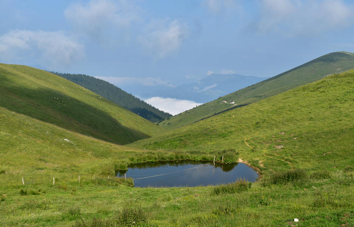 escursione naturalistica Malga Mariech Barbaria Orsere Forcelletta monte Cesen