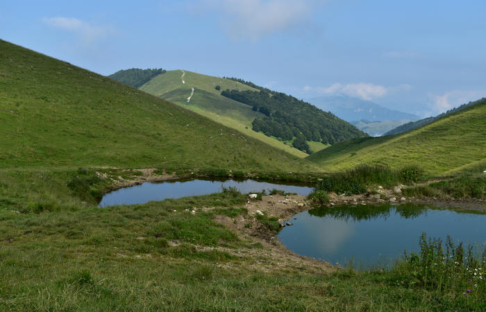 escursione naturalistica Malga Mariech Barbaria Orsere Forcelletta monte Cesen