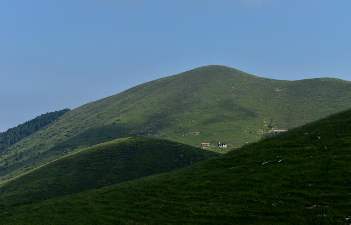escursione naturalistica Malga Mariech Barbaria Orsere Forcelletta monte Cesen