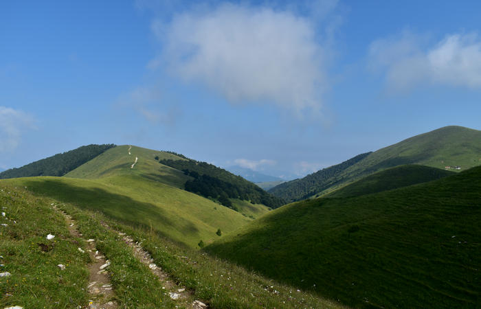 escursione naturalistica Malga Mariech Barbaria Orsere Forcelletta monte Cesen