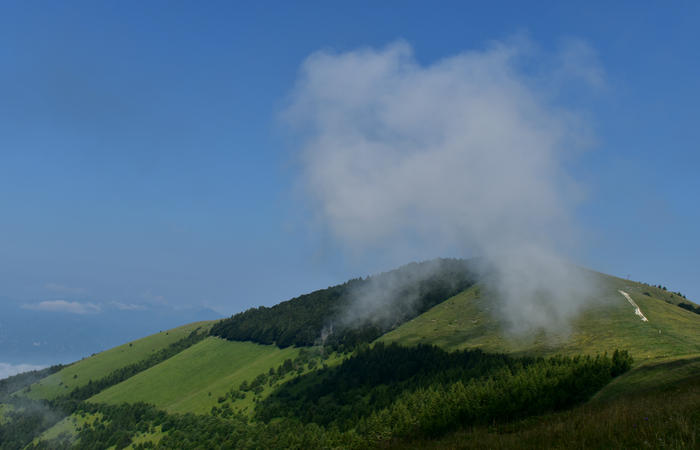 escursione naturalistica Malga Mariech Barbaria Orsere Forcelletta monte Cesen