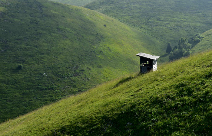 escursione naturalistica Malga Mariech Barbaria Orsere Forcelletta monte Cesen