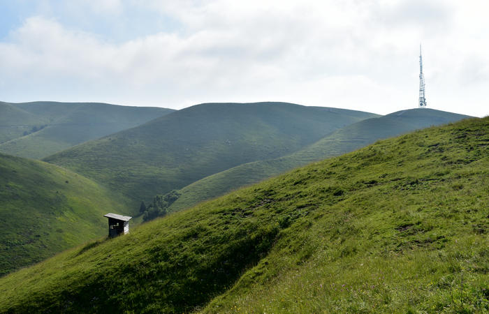 escursione naturalistica Malga Mariech Barbaria Orsere Forcelletta monte Cesen