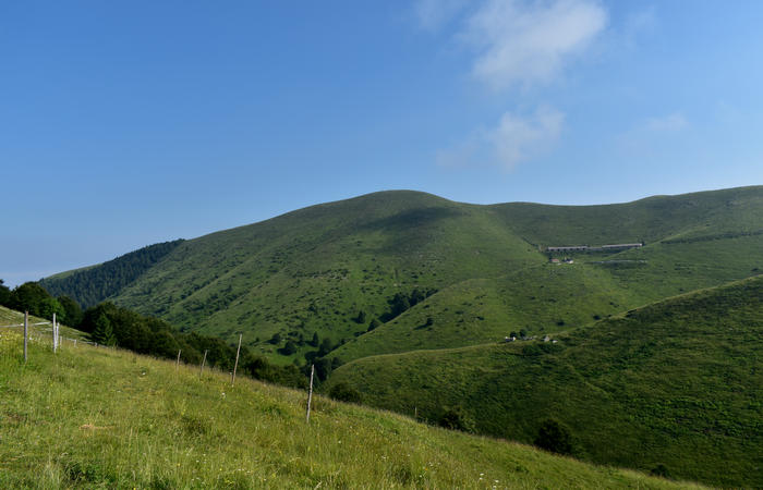 escursione naturalistica Malga Mariech Barbaria Orsere Forcelletta monte Cesen
