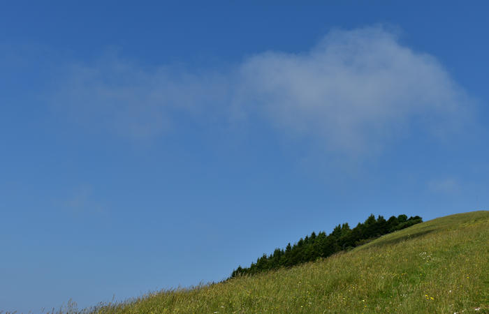 escursione naturalistica Malga Mariech Barbaria Orsere Forcelletta monte Cesen