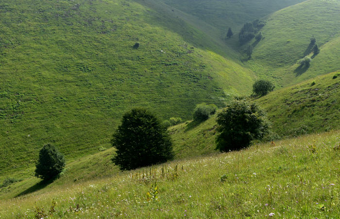escursione naturalistica Malga Mariech Barbaria Orsere Forcelletta monte Cesen
