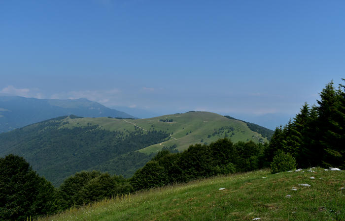 escursione naturalistica Malga Mariech Barbaria Orsere Forcelletta monte Cesen
