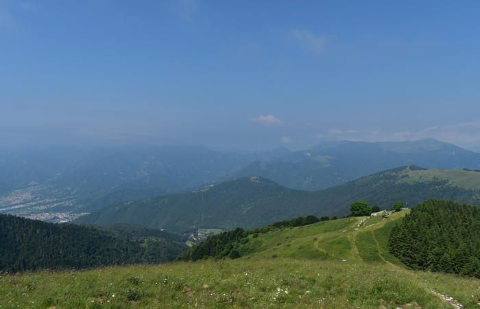 escursione naturalistica Malga Mariech Barbaria Orsere Forcelletta monte Cesen