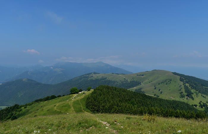 escursione naturalistica Malga Mariech Barbaria Orsere Forcelletta monte Cesen