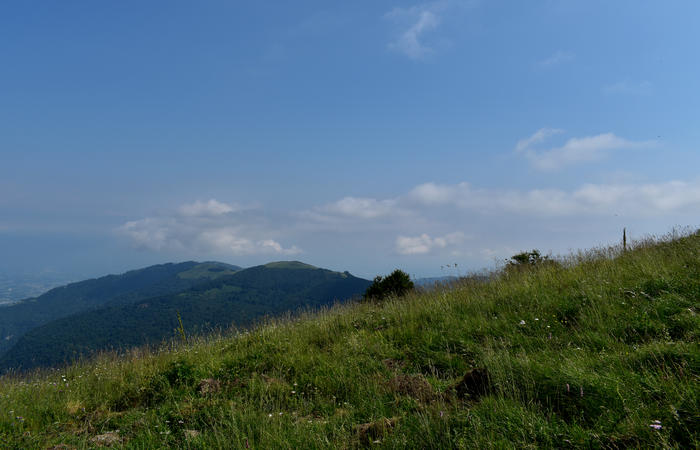escursione naturalistica Malga Mariech Barbaria Orsere Forcelletta monte Cesen