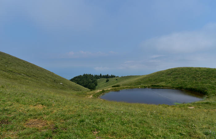 escursione naturalistica Malga Mariech Barbaria Orsere Forcelletta monte Cesen