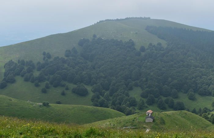 escursione naturalistica Malga Mariech Barbaria Orsere Forcelletta monte Cesen