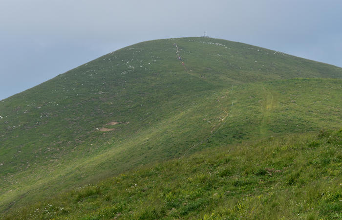 escursione naturalistica Malga Mariech Barbaria Orsere Forcelletta monte Cesen