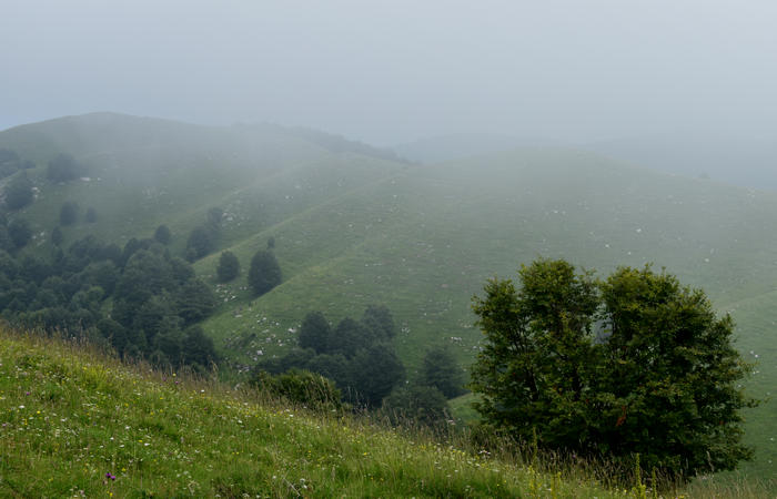 escursione naturalistica Malga Mariech Barbaria Orsere Forcelletta monte Cesen